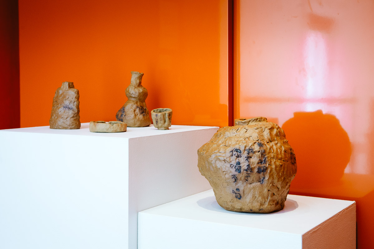 Jason Phu, installation view, Closing the Distance, 2017, Bundoora Homestead Art Centre. Photo: Nicola Dracoulis.