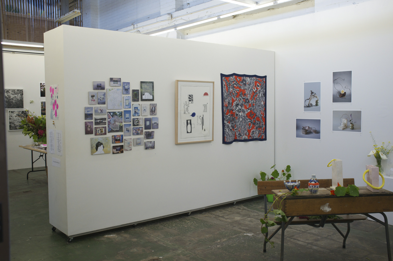 Install view, Secret Garden, 2015, Long Division Gallery 