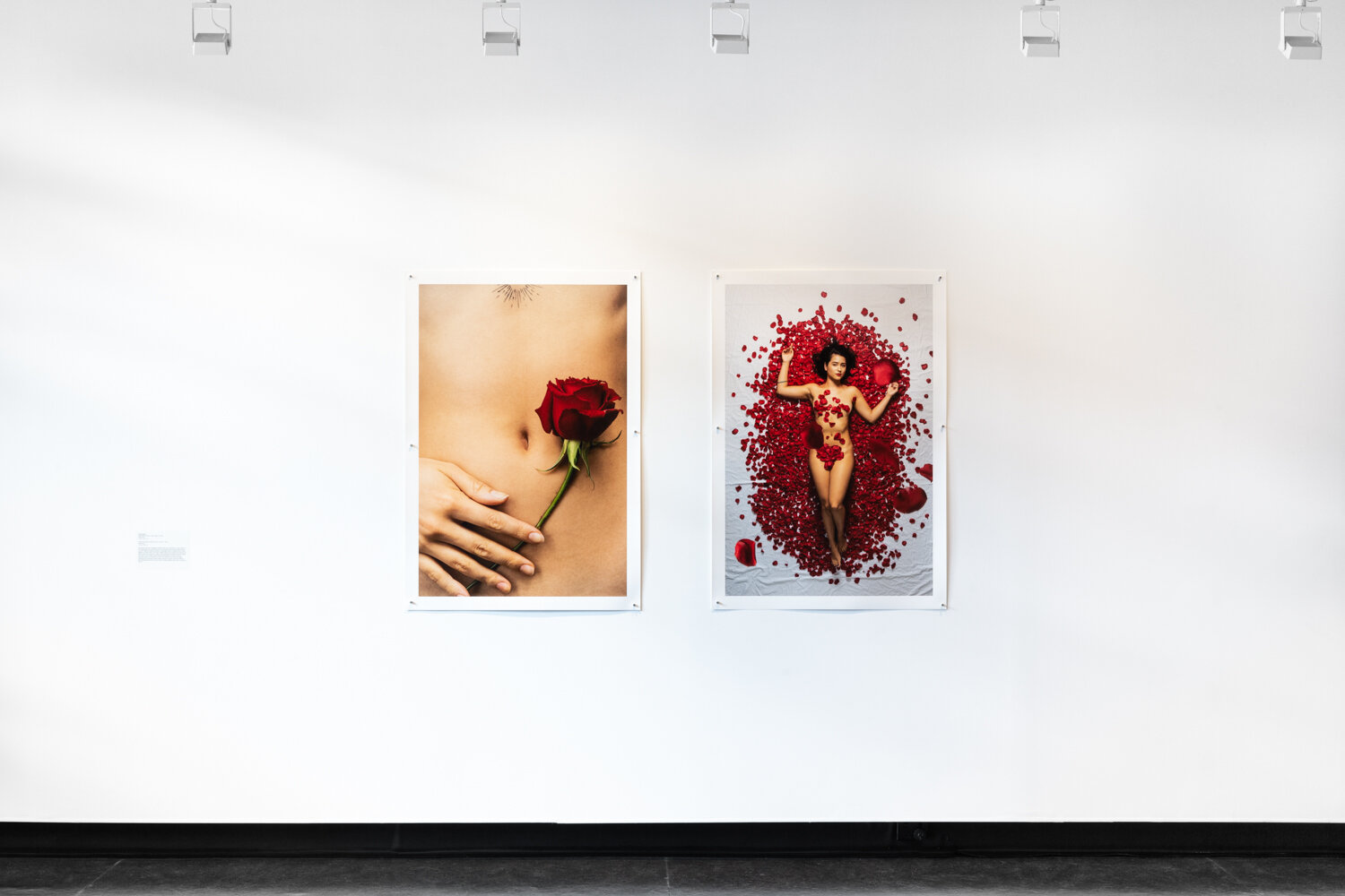  Andy Mullens.  Australasian Beauty 1 [film poster a]  and  Australasian Beauty 1 [film poster b] ,    2019, inkjet print, installation view,  Disobedient Daughters,  Counihan Gallery, 2021. Photo: Janelle Low 