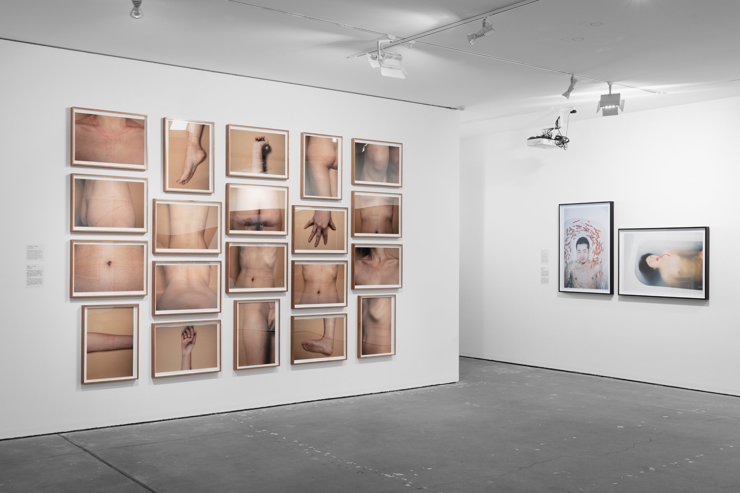  Install view,  I Loved You: Works from the White Rabbit Collection,  2023, CCP. Photo credit: Hannah Nikkelson 