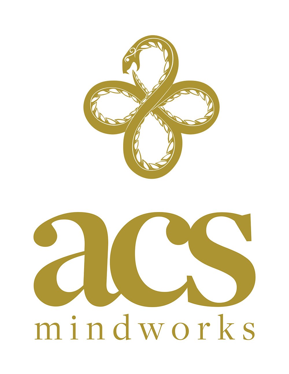 ACS MINDWORKS