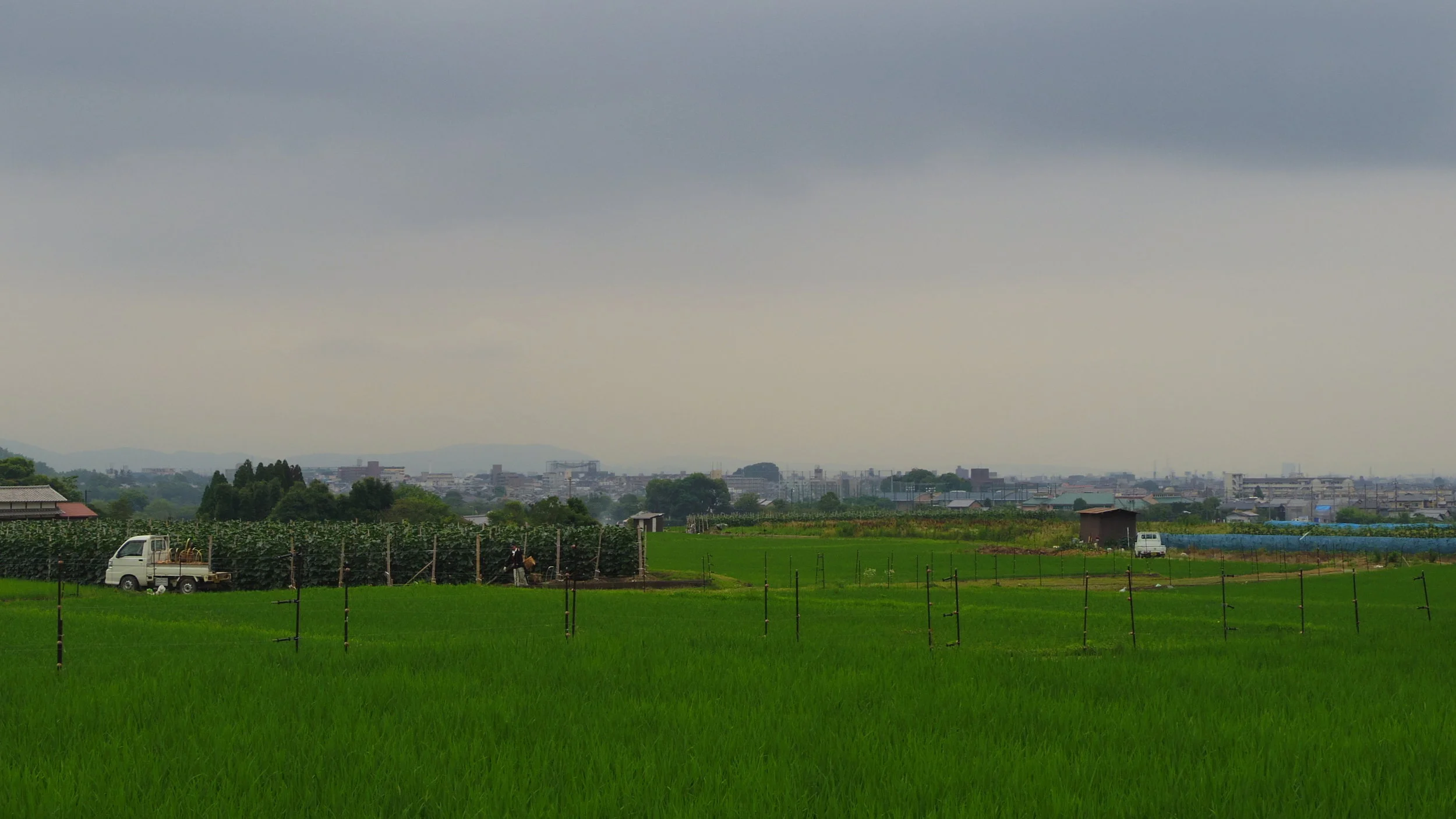 Food You Need To Try When You're In Japan Part 1