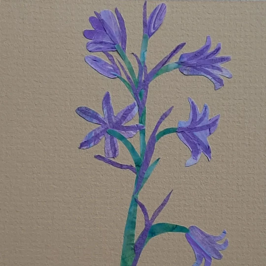 Inspired by what a participant created in their workshop on Saturday I created my own #Bluebell using #MarbledPaper #TissuePaper and painted #DeliPaper for the stalk. I had a good close-up investigation 🔎 😄 of a Bluebell and discovered all these lo