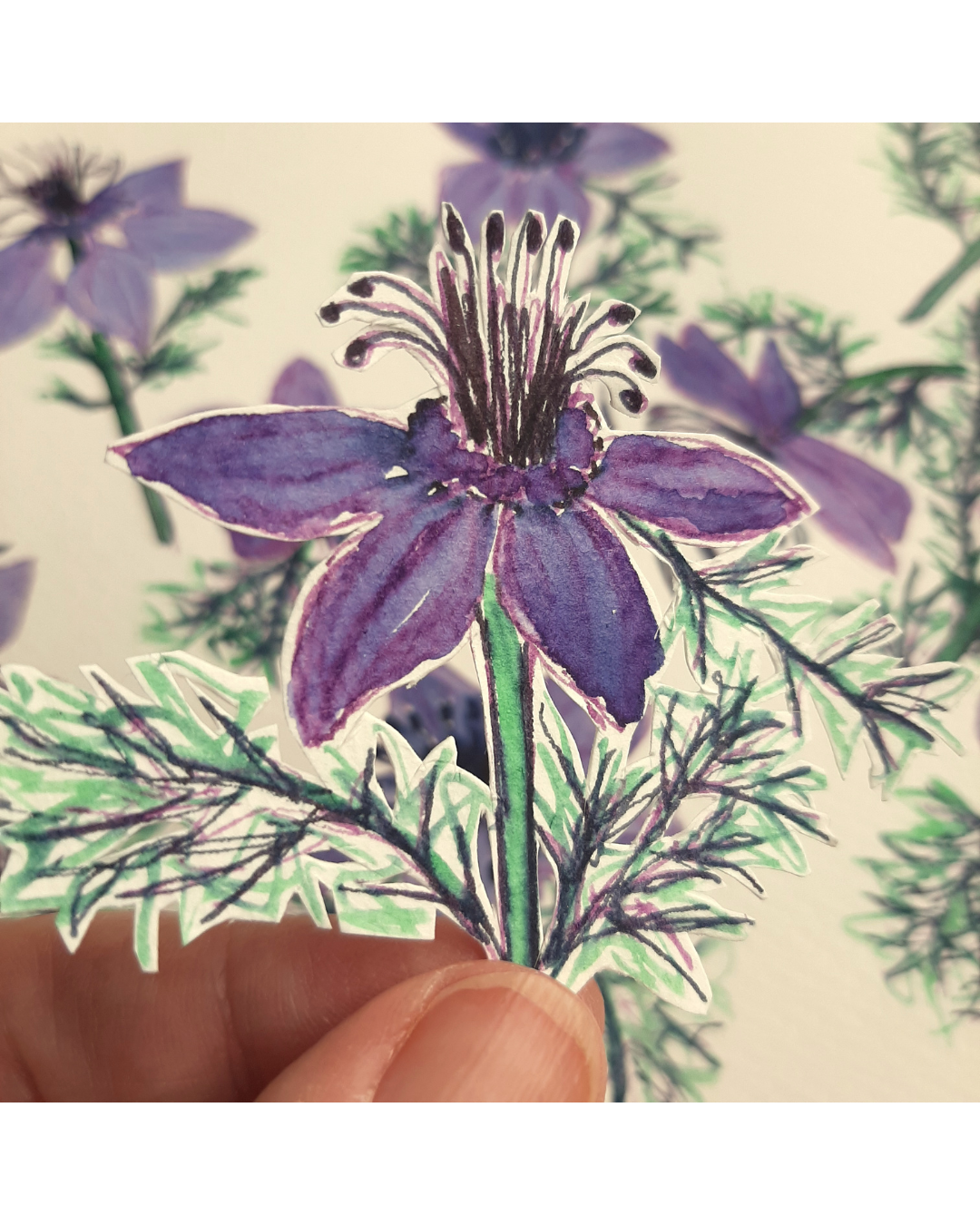 holding love-in-a-mist.png