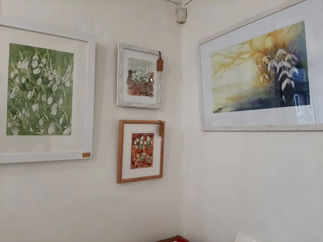 A corner of #Snowdrops is one of many delights to be seen when you visit the #Floral exhibition, launching tomorrow at @wetherbyframing 
Do join us between 12-4pm for drinks and nibbles. 
Then the exhibition will be open Tuesdays to Saturdays 10am to