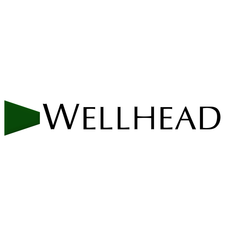 Wellhead Electric
