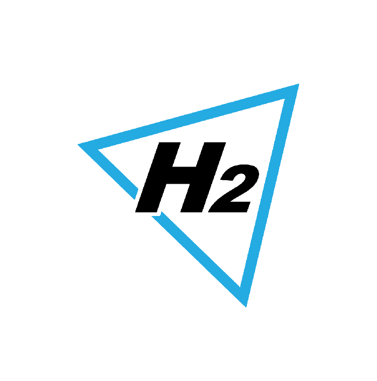 H2, Inc.
