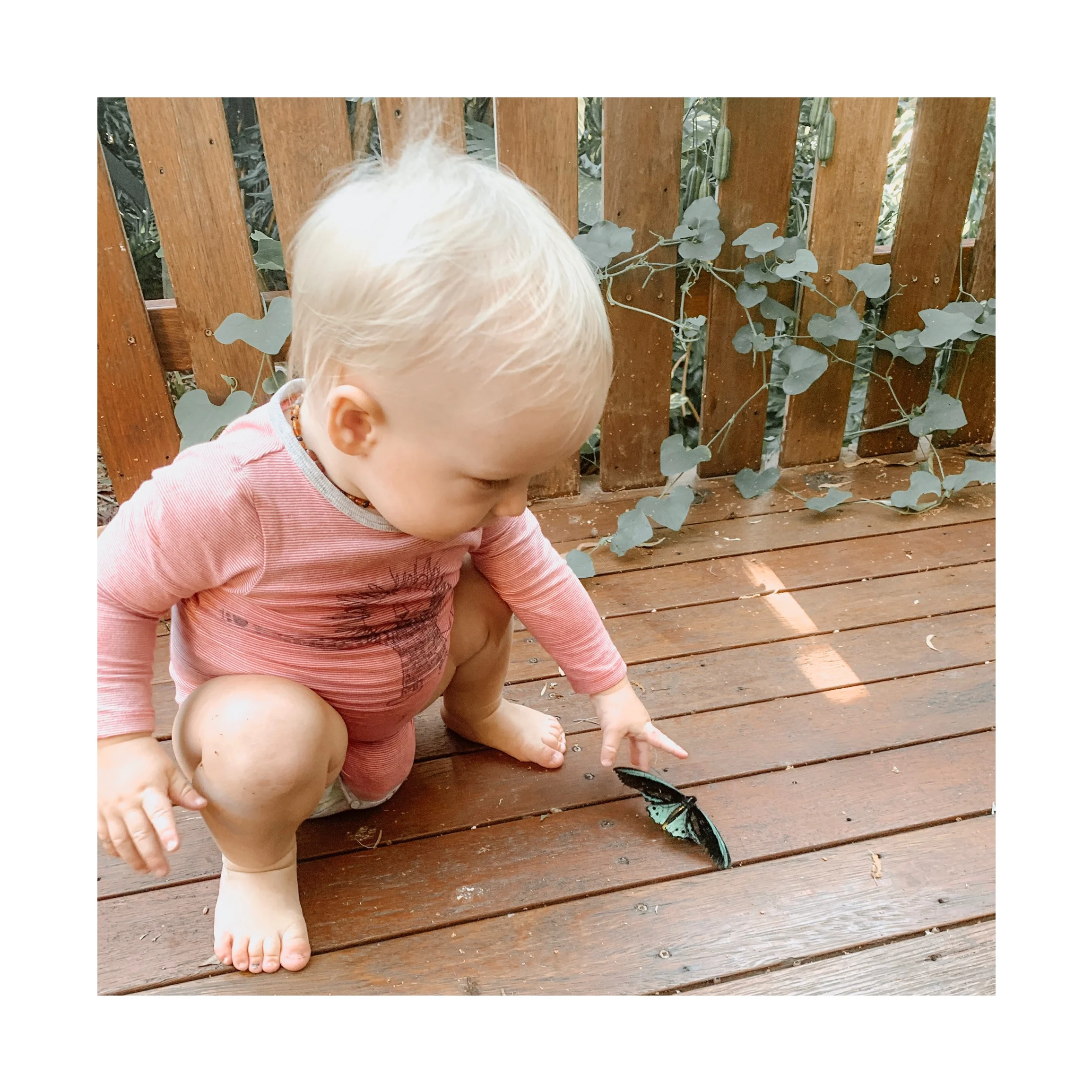 Shoes or no shoes for little ones?