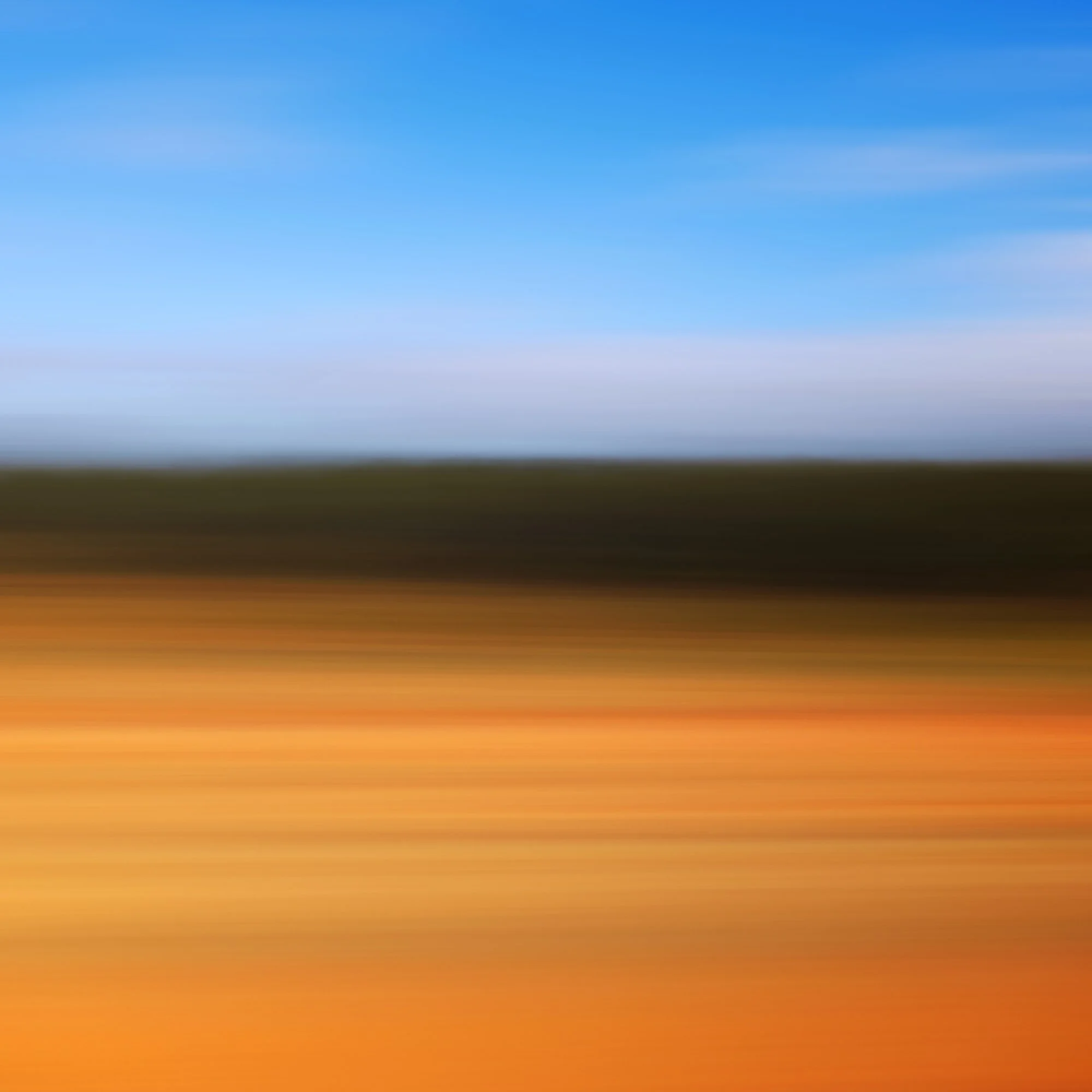 DSCF9215 CENTRAL AUS 2.jpg