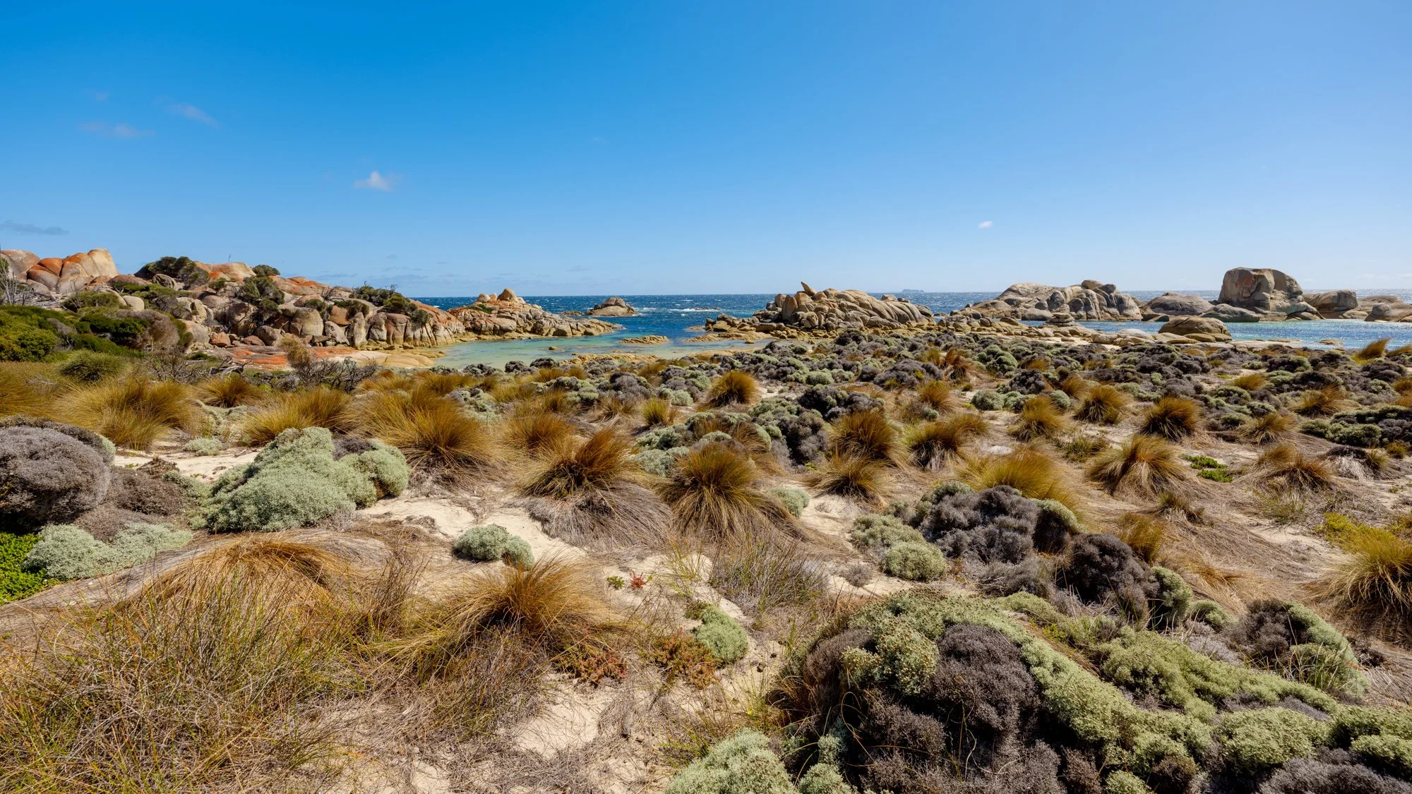 DSCF9829FLINDERSISLAND Killiecrankie.jpg