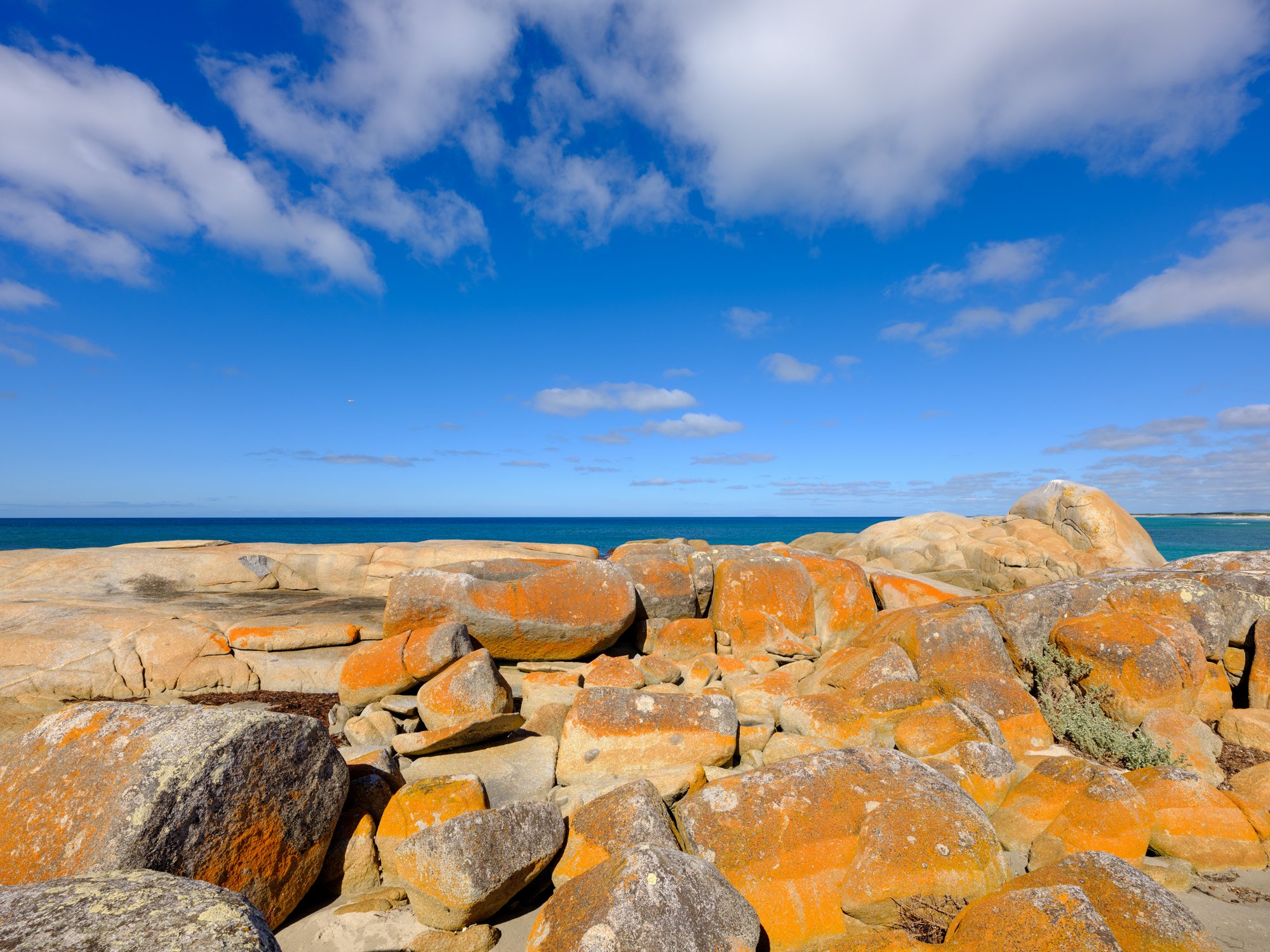 DSCF9841FLINDERSISLAND North East River.jpg