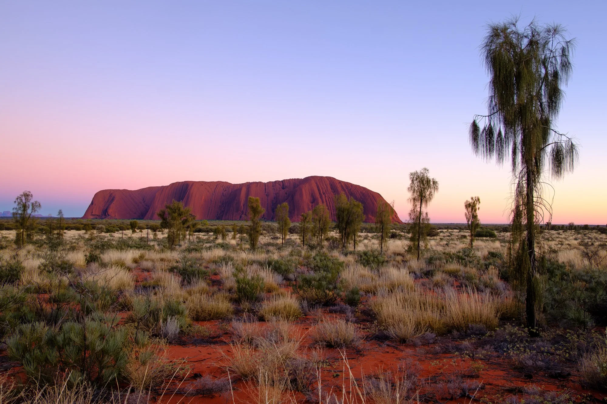 DSCF8458ULURU 2.jpg