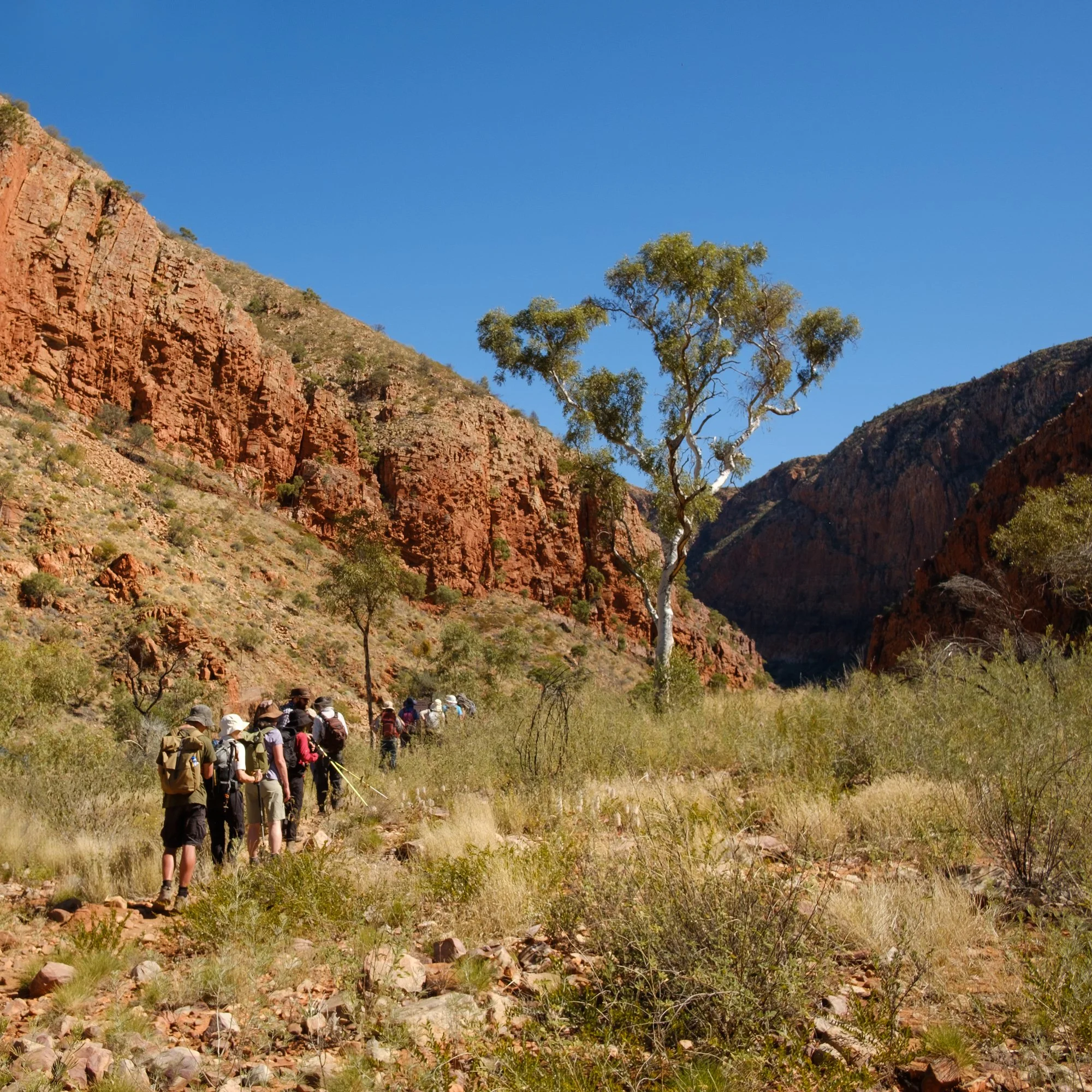 DSCF8969LARAPINTA SQ.jpg