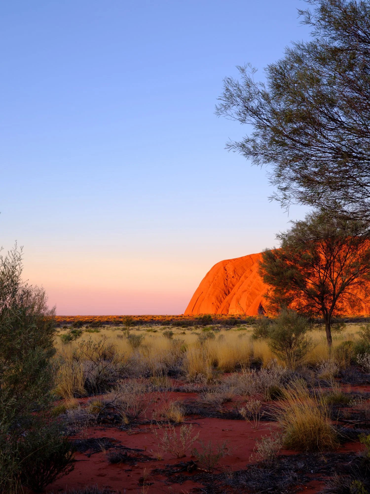 DSCF9045 ULURU2.jpg