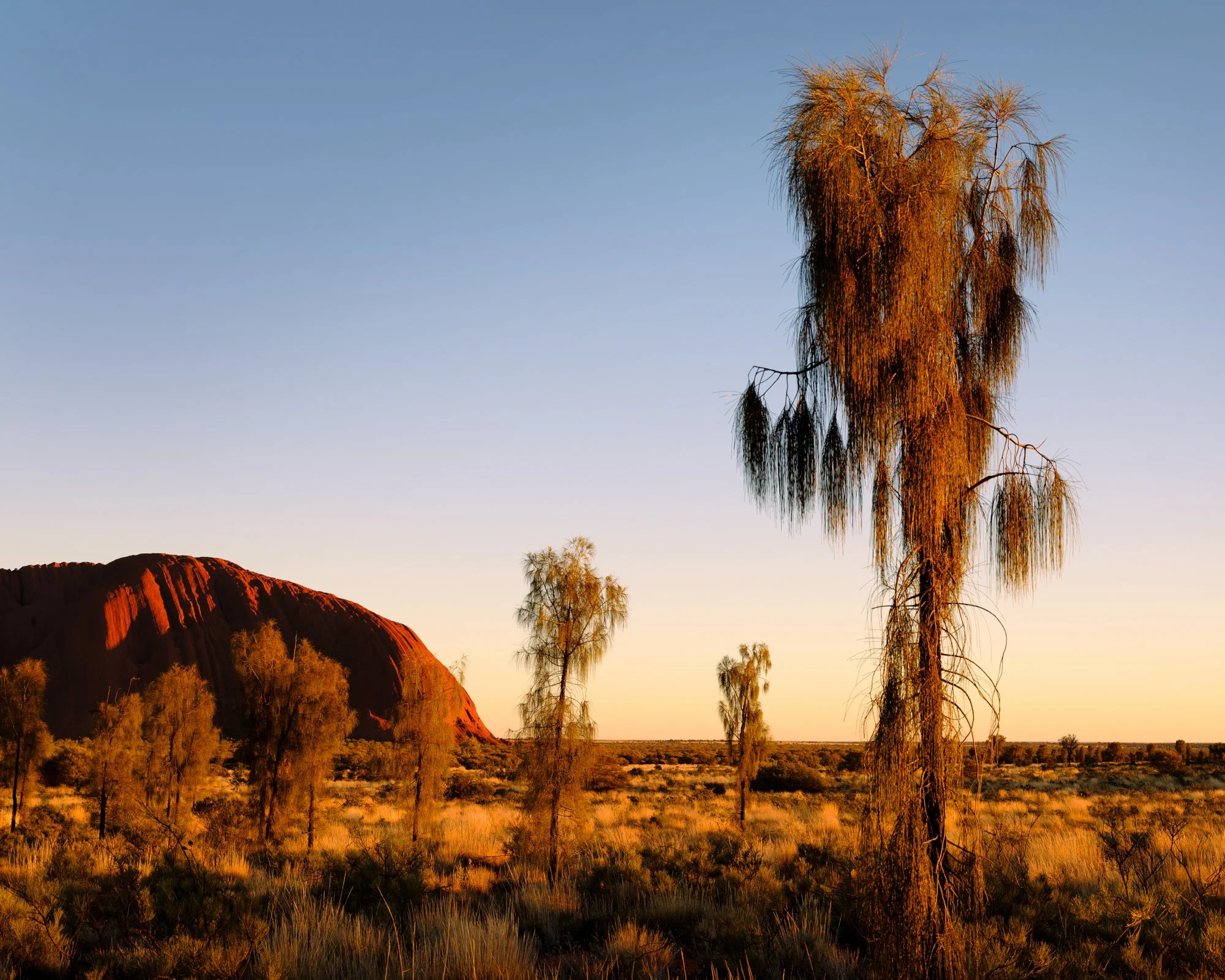 DSCF9082ULURU.jpg
