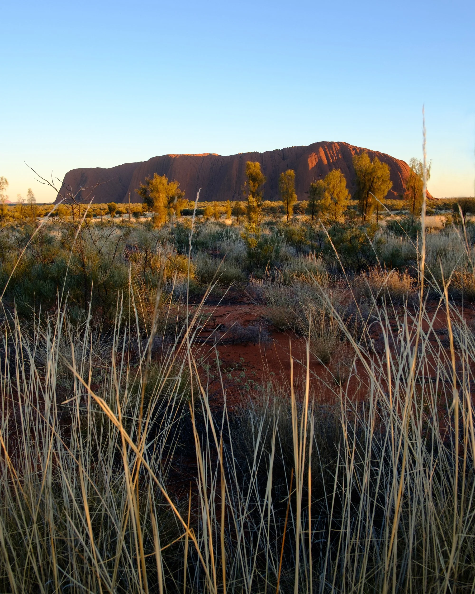 DSCF8461 ULURU.jpg