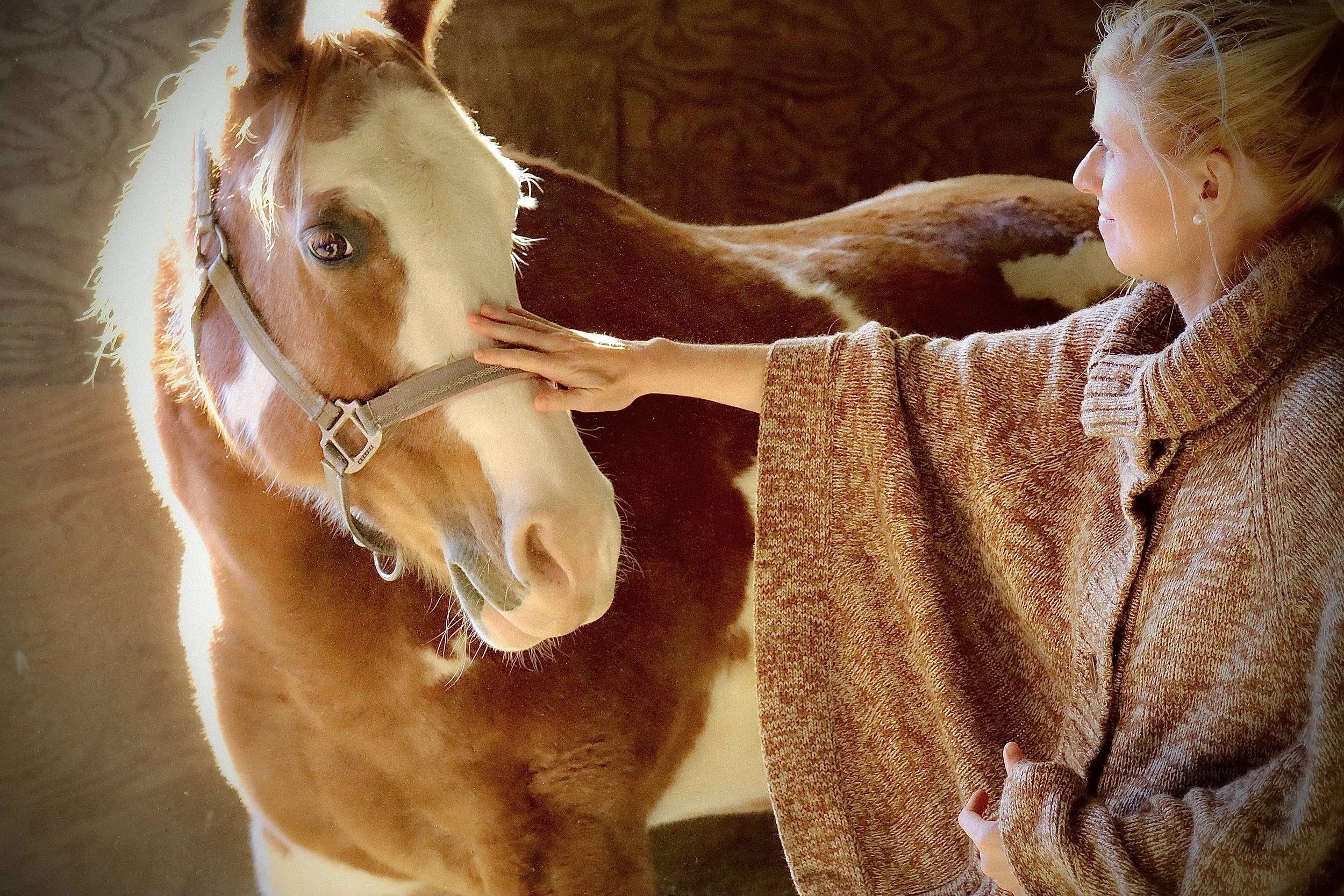 EC714C23-5BF4-43FC-83CF-BE8287FF48C0 (1).JPEG