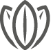 Test_Bluete_Kontur_Grau.png
