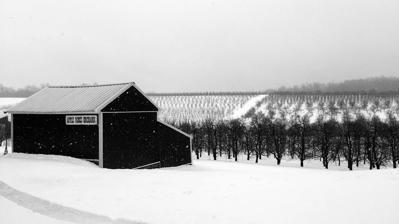 Winter here at Abendroth's Apple Ridge Orchard