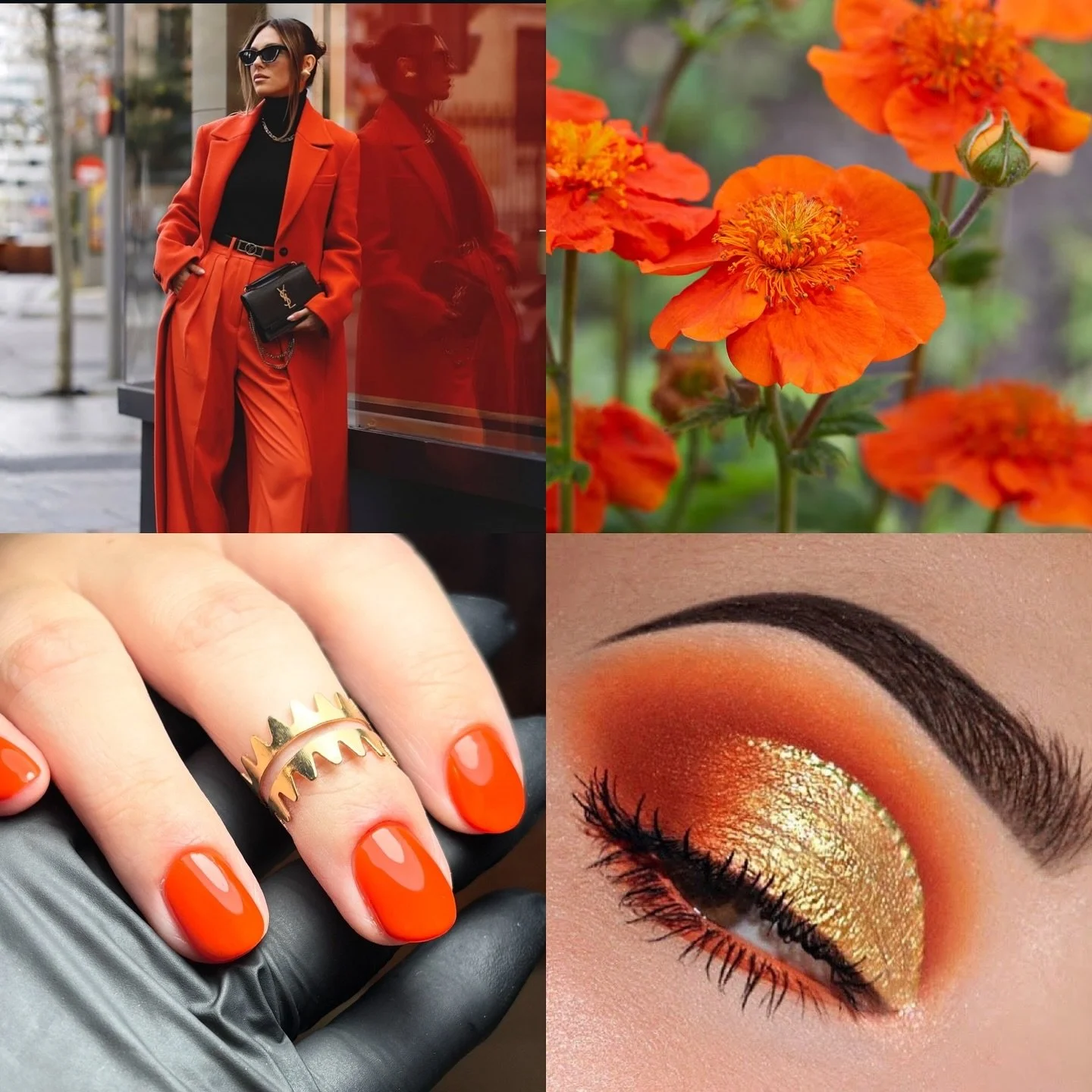 Fashionista Friday 🥰🧡 - Along with &lsquo;tutorial Tuesday&rsquo; I will now be posting one of these gorgeous colour aesthetics every Friday morning and I will be tagging all the other professionals in the pics. Something I haven&rsquo;t seen with 