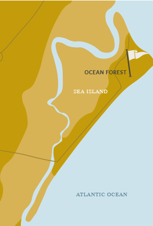 ocean-forest-map.png