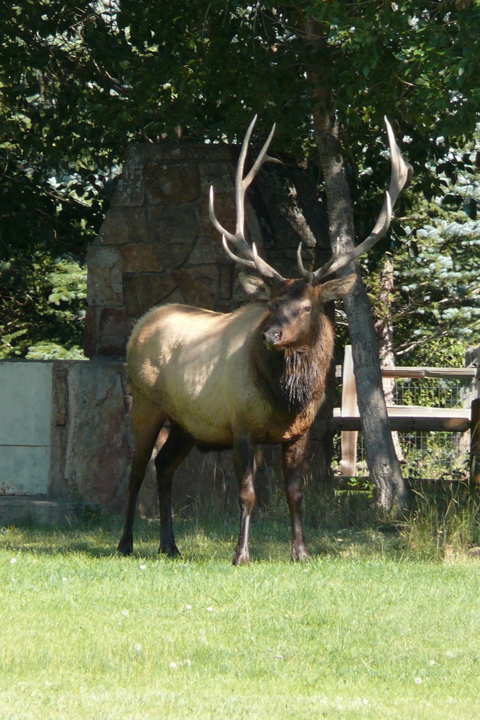 P1000266.jpg