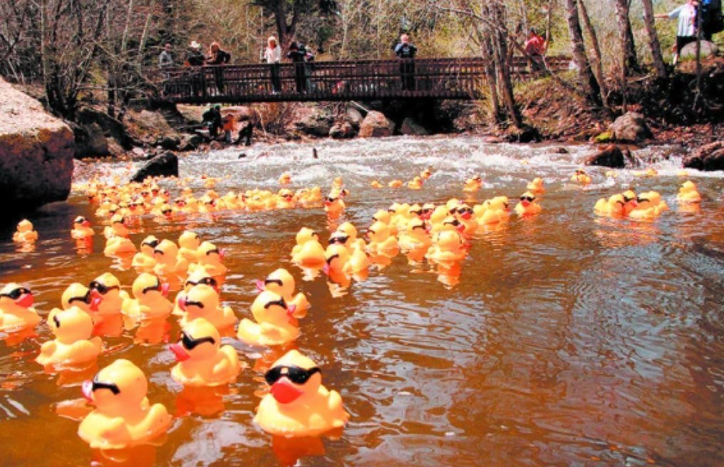 Only 2 days until our local Estes Park Rotary and our annual Duck Race on Saturday, May 4th by adopting a duck for charity and come join the fun to see your duck win 🦆

&quot;Estes Park Rotary Duck Race Festival &ndash; Adopt Ducks. Help Charity. Wi