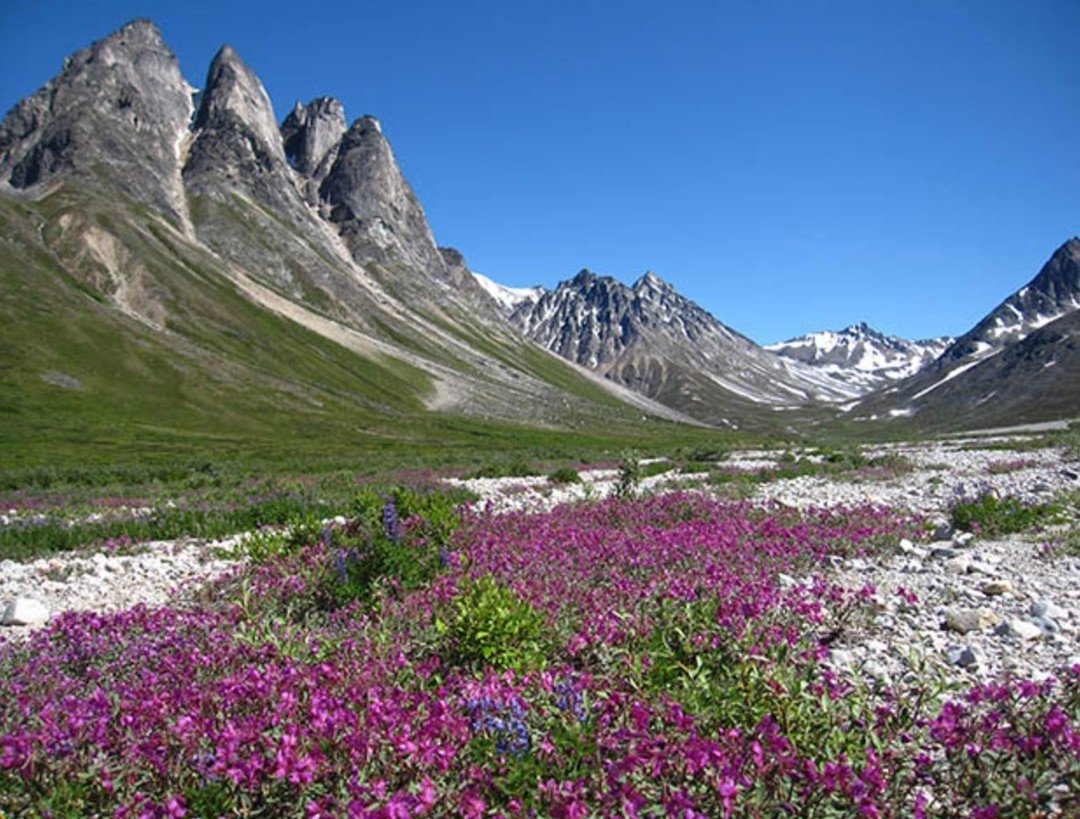 This month is National Clean Air Month and...

&quot;This year's theme is &quot;Knowing Your Air.&quot; National parks across the country love clean air and work hard to reduce air pollution both inside parks and beyond park boundaries.&quot;

https: