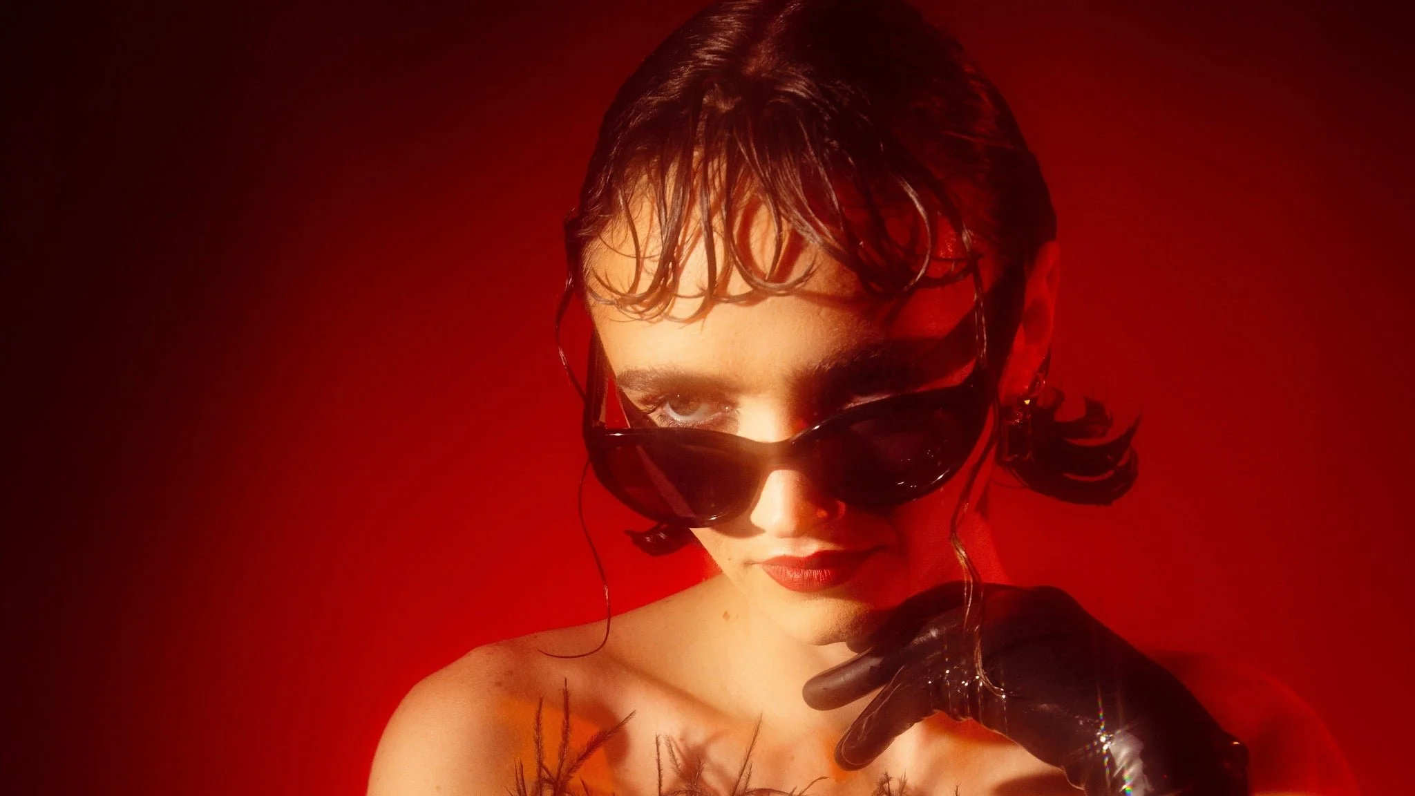 Sir Chloe at Scoot Inn