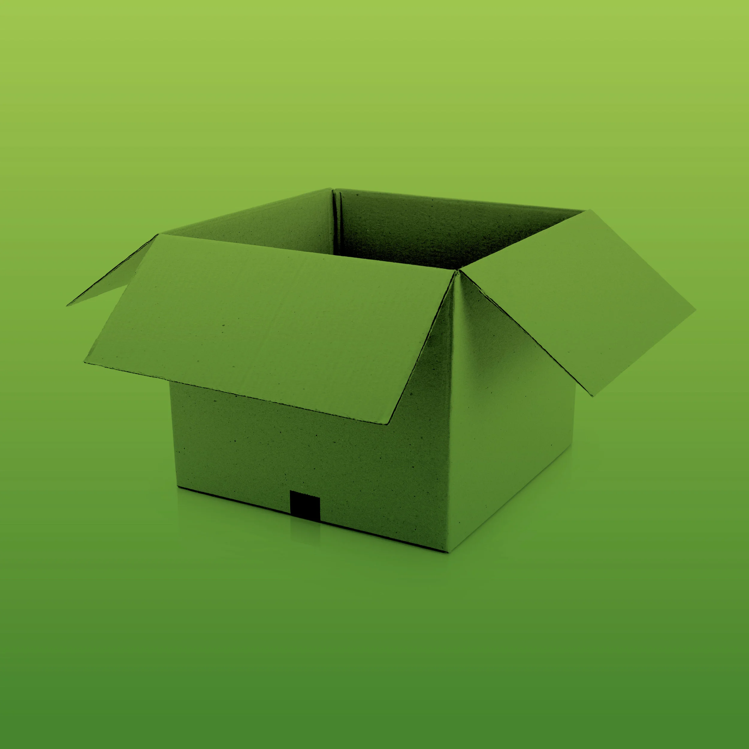 SABI_cardboard_BLANK_Square.jpg