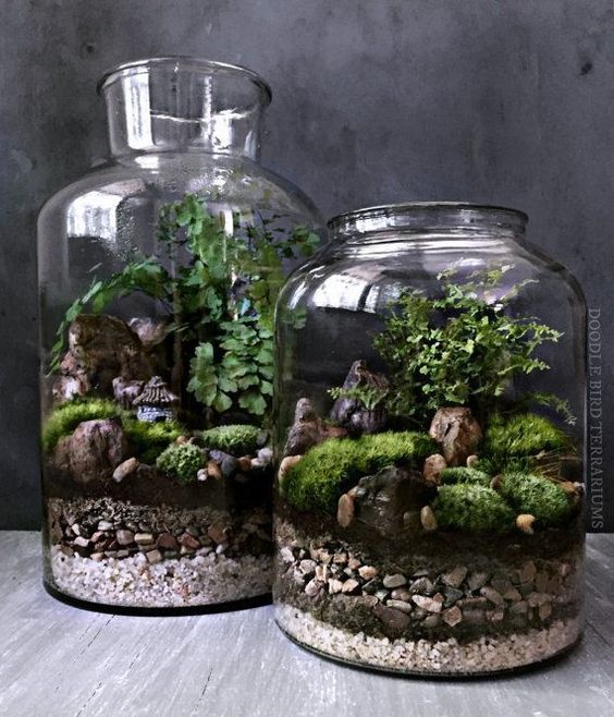 Glass Terrium.jpg