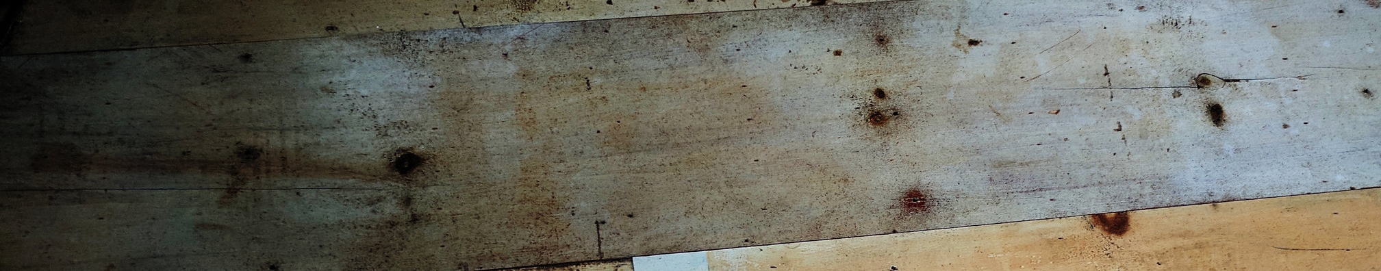 Floor image for STUDIO page title.jpg