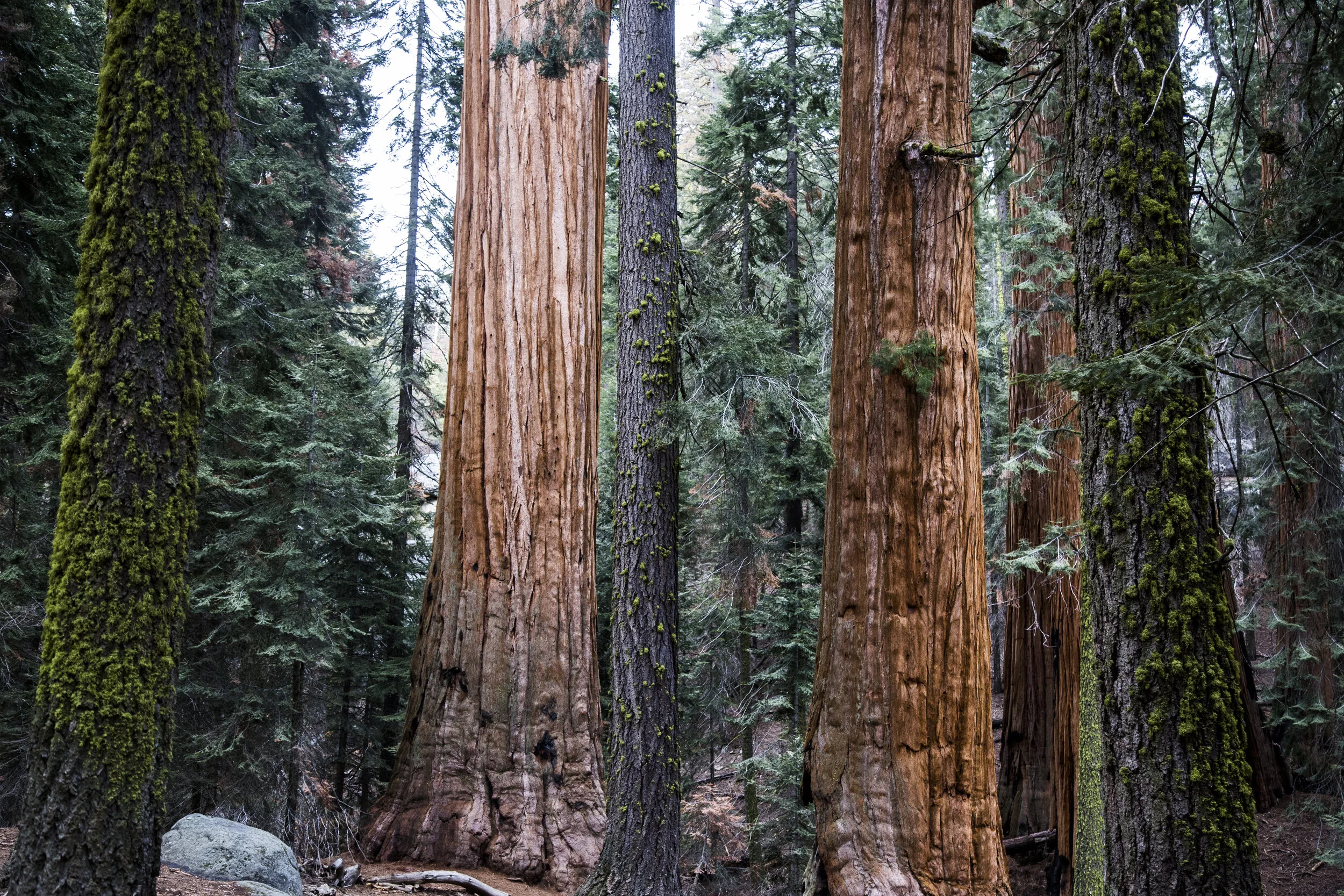 Take Us On Your Favorite Trail 