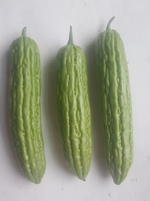 Bitter Melon.jpg