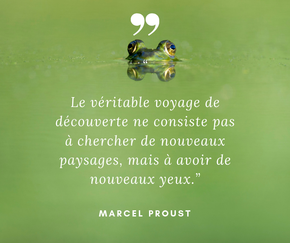Ressources En Creativite Vie Creative 101