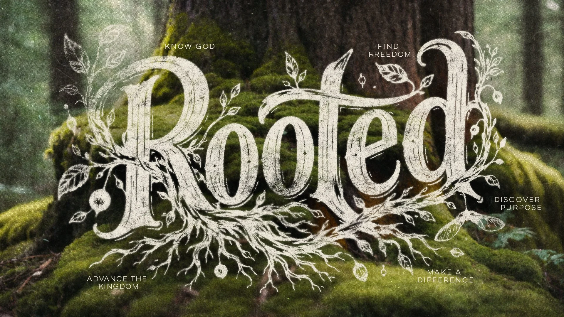 ROOTED MAIN SLIDE.jpg