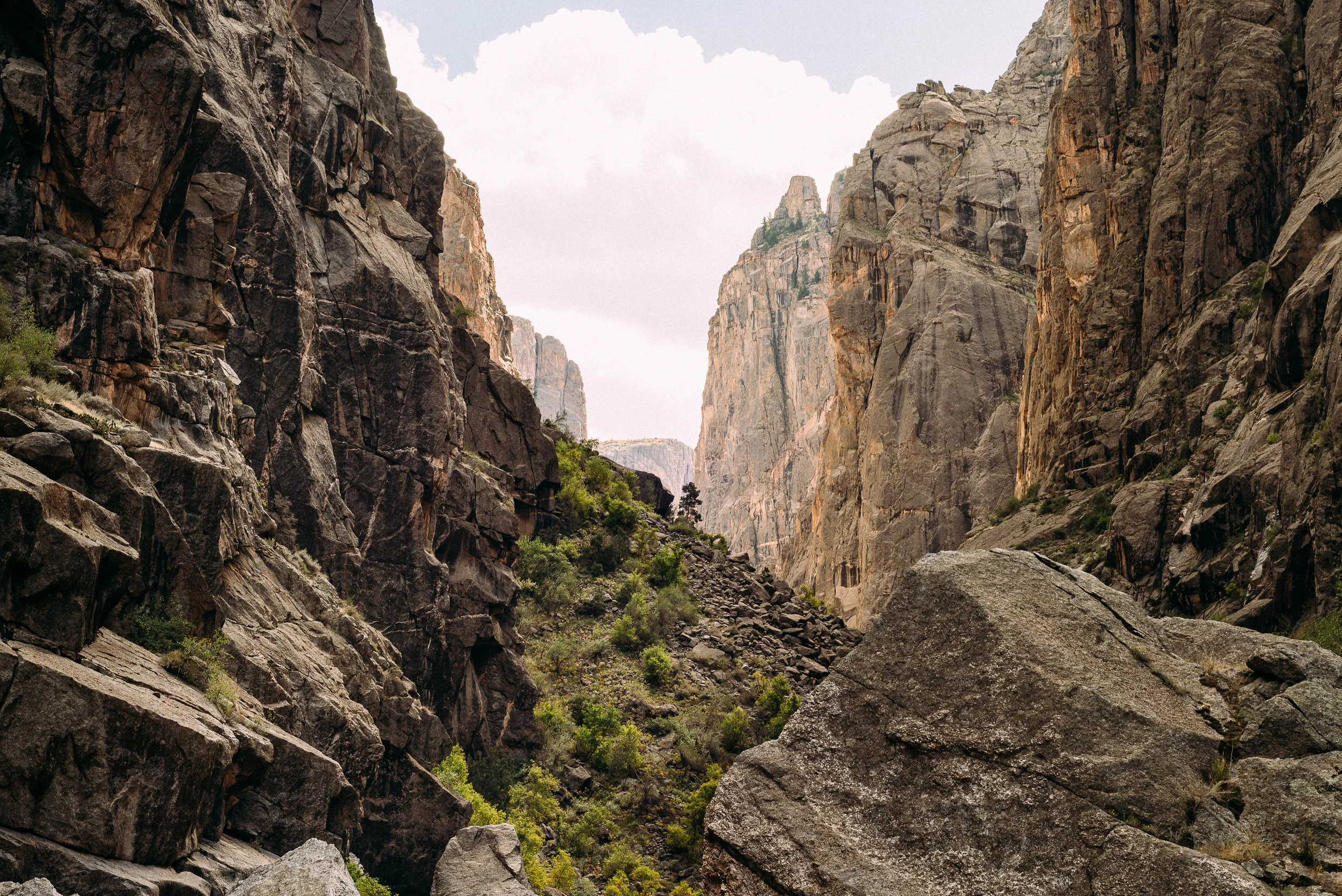From the depths of the canyon.
