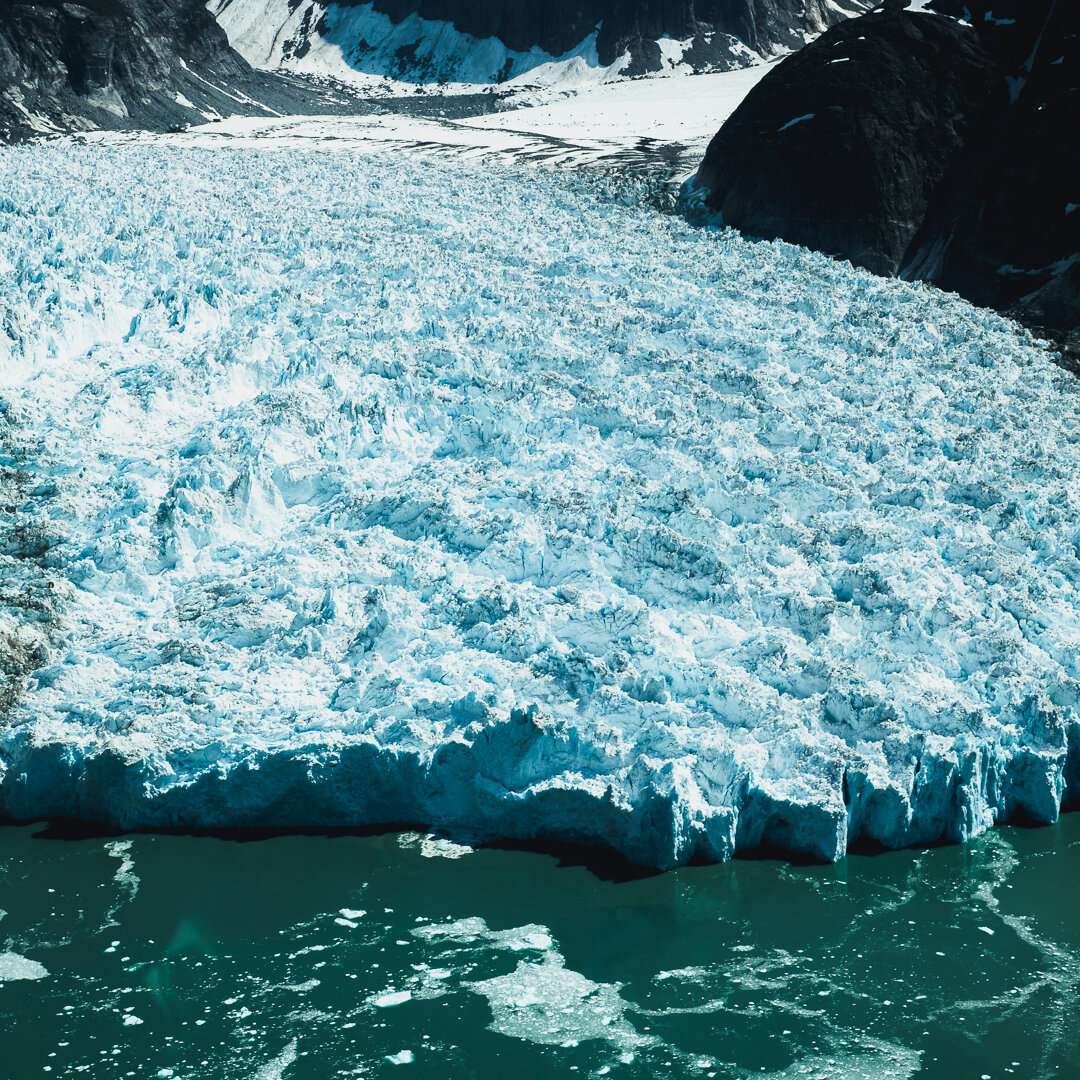 LeConte Glacier - 2