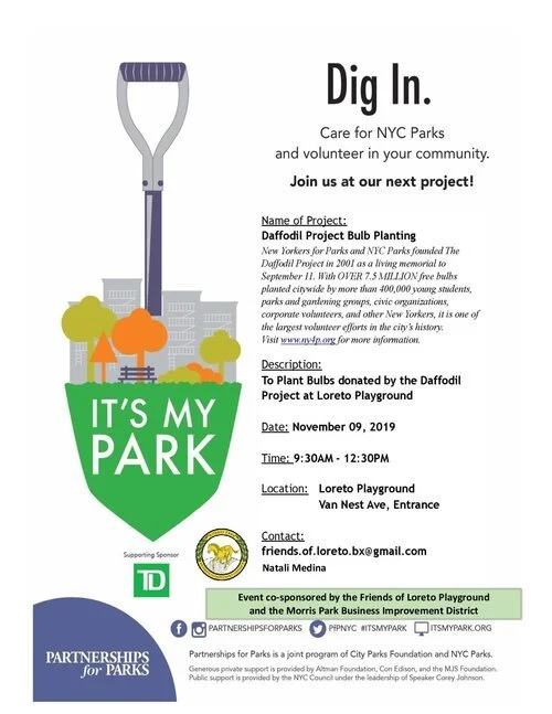 Daffodil Project Bulb Planting