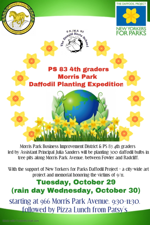 PS 83 Morris Park Daffodil Planting Expedition
