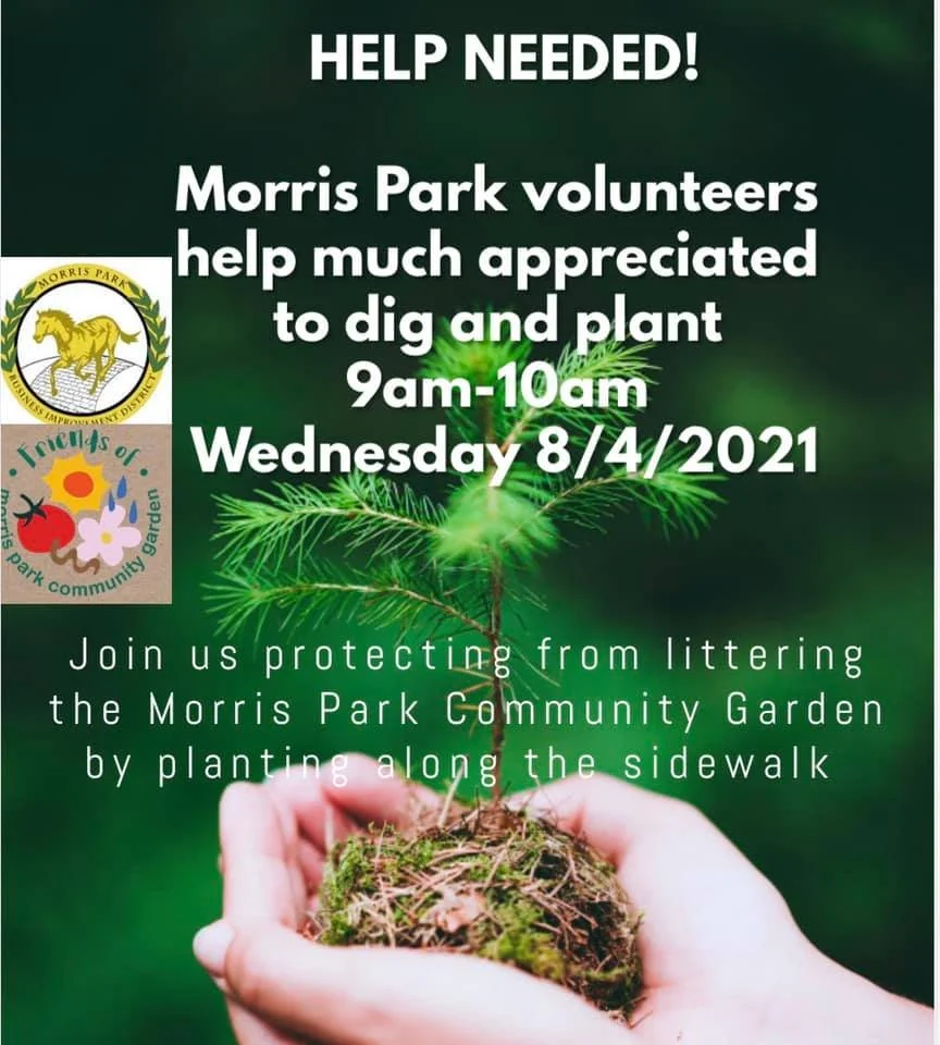 Morris Park Community Garden Volunteer Planting Event