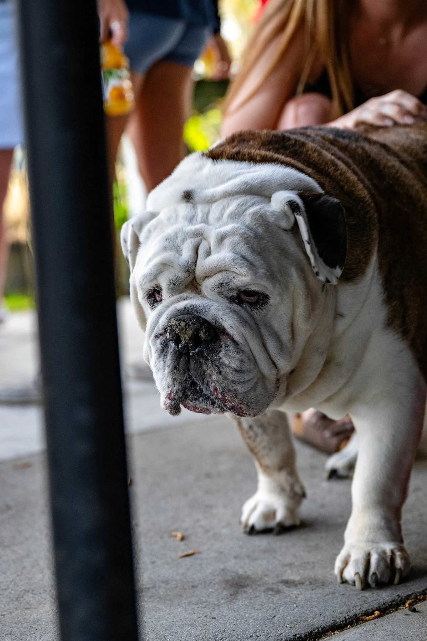 55197852131_ecf63a8077_o