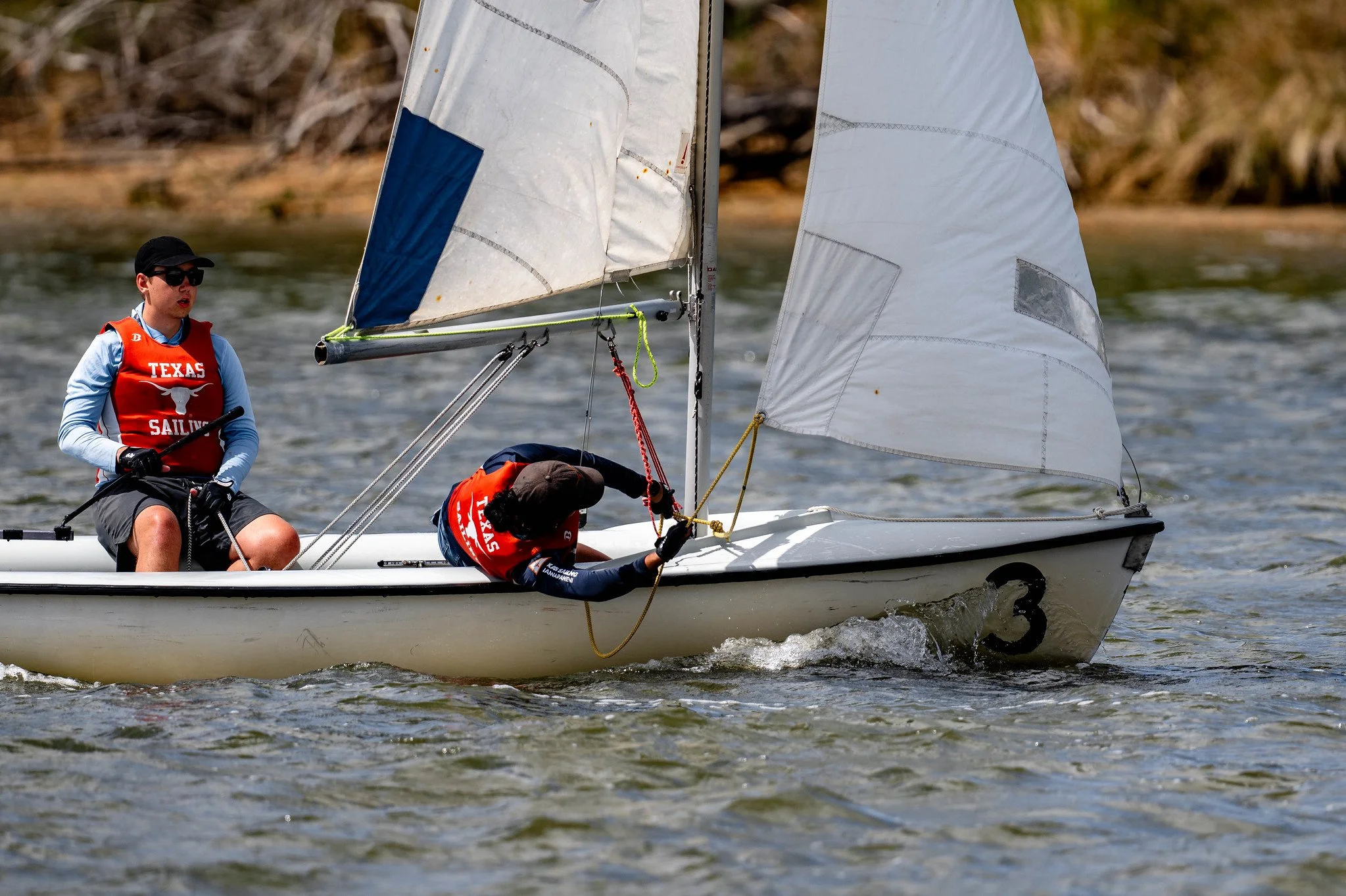 55196962082_56124aabdd_o