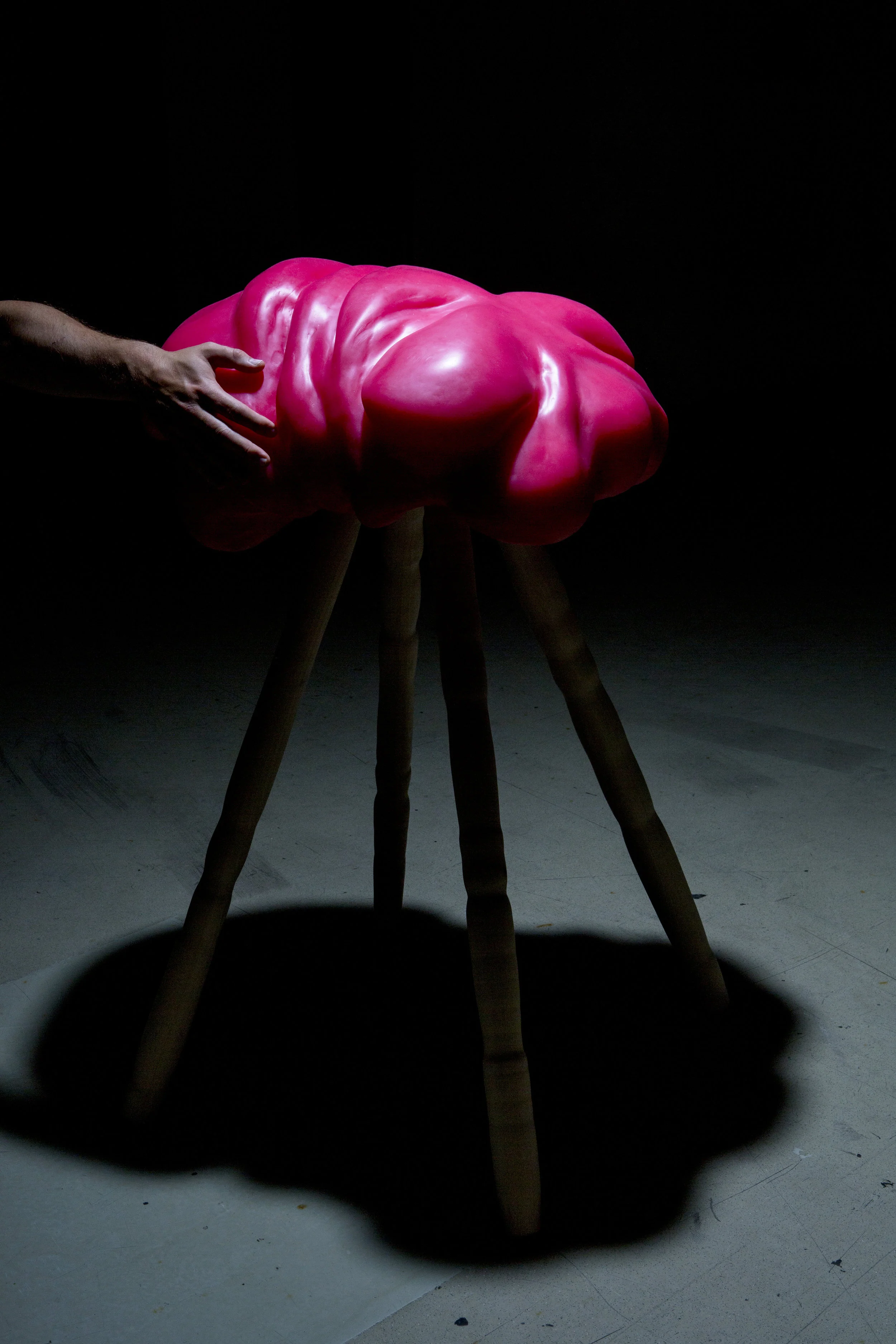 BastiaanBuijs_Cremaster_COMM_CUM_2015_©MH kopie.jpg