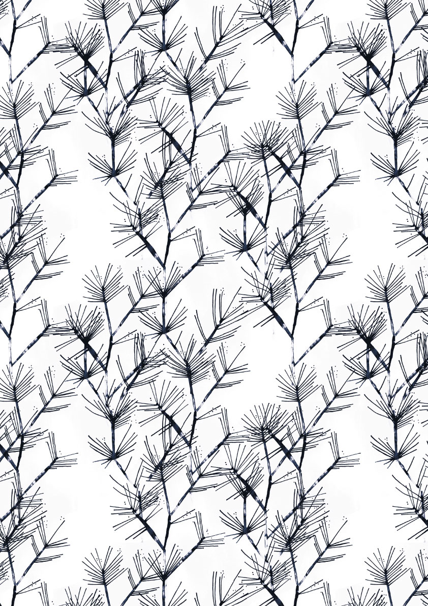 Winter_online_Kiefer.jpg