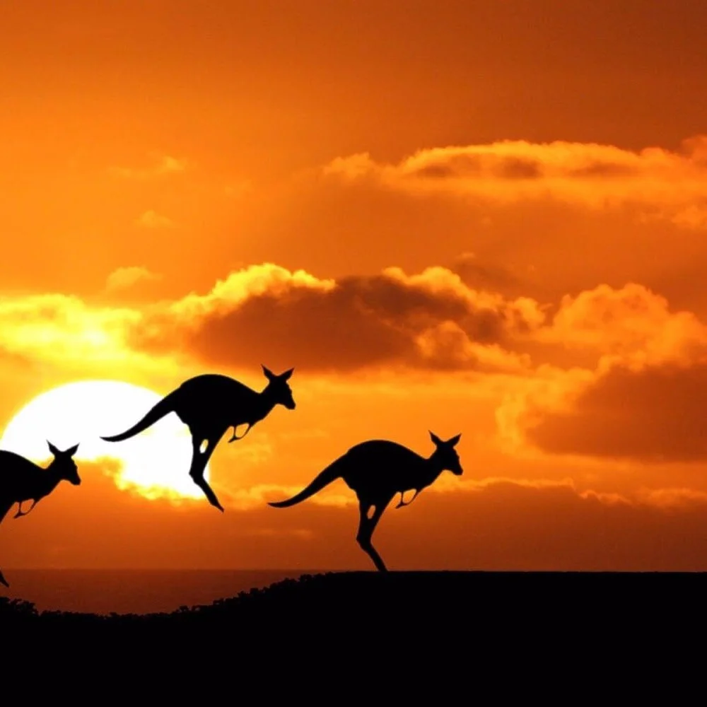 australia.jpg