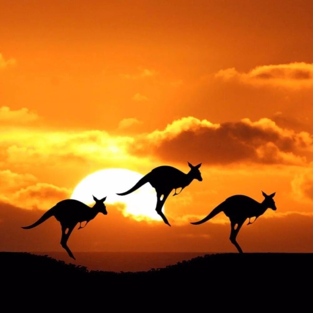 australia.jpg