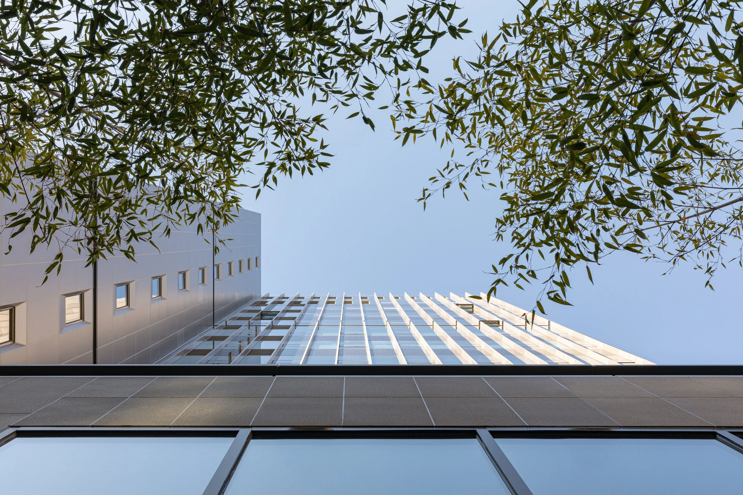 AMC-18.jpg