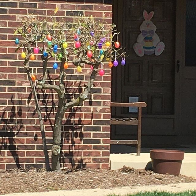 Spring is all around us. Let&rsquo;s appreciate everything we do have. Stay safe, stay well. #cbus #cbusfoodscene #whatthehealth #spring2020 #614living #coronav&iacute;rus