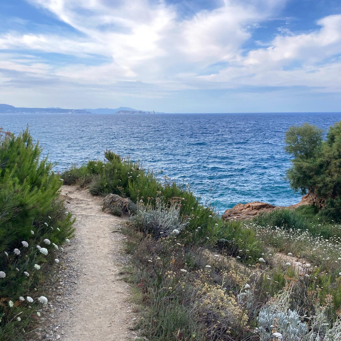 Walking along this little coastal path yesterday on a very windy evening felt like being transported to Cornwall (with Costa Brava temperatures)